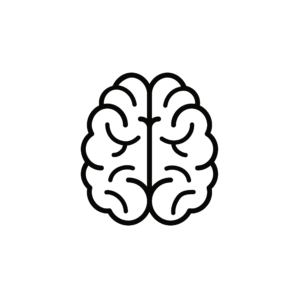 Brain icon